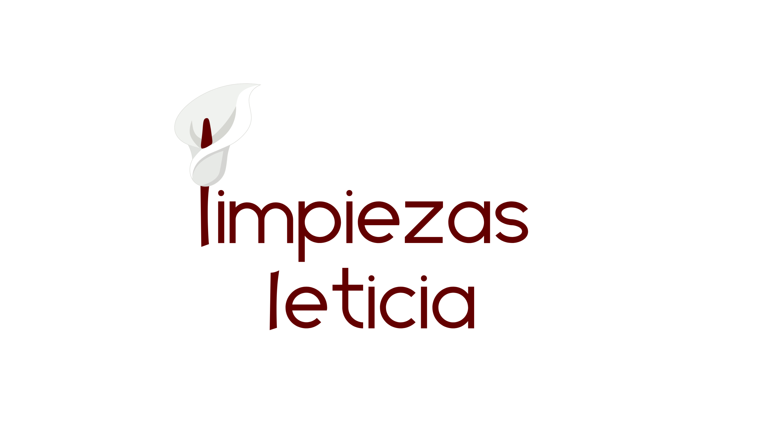 Logo de Limpiezas Leticia, empresa de limpieza profesional en Madrid